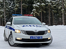 В городском округе Пушкинский проводят профилактические мероприятия на дорогах