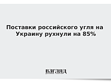Поставки российского угля на Украину рухнули