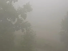 Братск попал в зону задымления от лесных пожаров