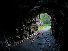 В Карелии за 500 тысяч рублей можно снять на месяц бункер