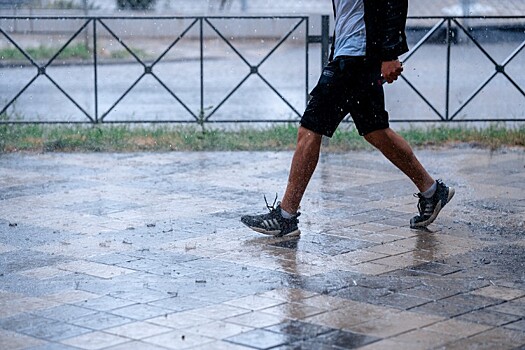 Балканский циклон устроил Кубани генеральную репетицию весны: ожидается +18°С