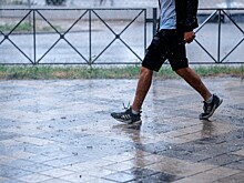 Балканский циклон устроил Кубани генеральную репетицию весны: ожидается +18°С