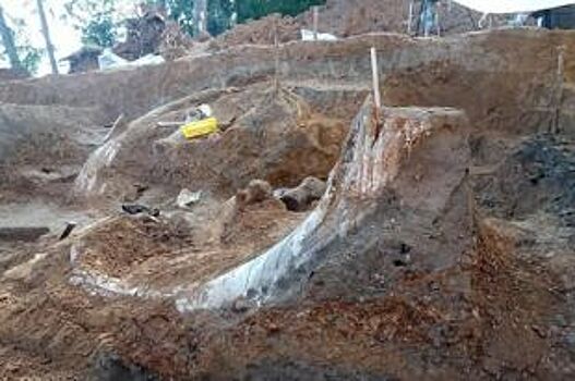 Палеонтологи назвали находки в Оханском районе сенсационными