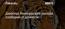 Директора Ленинградского зоопарка освободили от должности