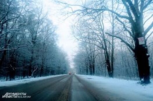 Дорожные службы трех приморских городов уличили в плохой уборке улиц