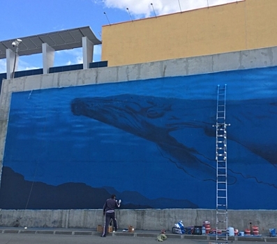 В Челябинске у ТРК "Родник" создают 3D-граффити кита в натуральную величину