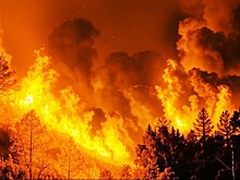 В России за сутки потушили 53 лесных пожара в 17 регионах