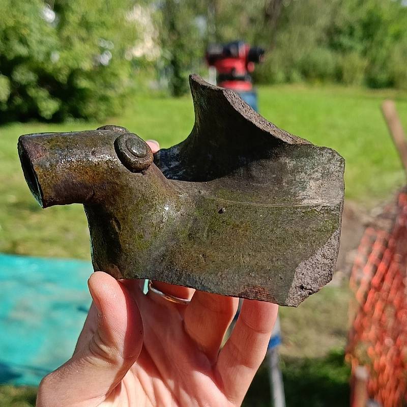 В российском регионе нашли загадочного зверька-водолея