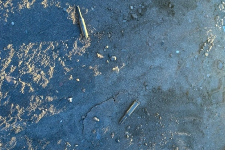 Стрельба на пляже перепугала жителей микрорайона Шлюз в Новосибирске