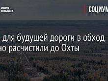 Место для будущей дороги в обход Мурино расчистили до Охты