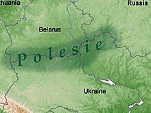 Чьё Полесье? История и перспективы белорусско-украинской борьбы за спорный регион