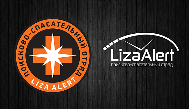 Волонтёры рассказали о поисках пропавшей в Екатеринбурге восьмилетней школьницы