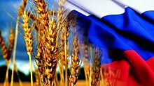 В Совфеде предрекли дефицит качественного зерна в РФ