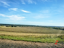 Власти Пермского края устроили распродажу сельхозугодий