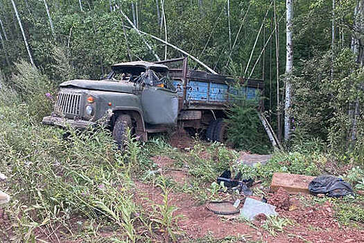 В Иркутской области пьяный водитель на грузовике улетел в кювет, пострадали дети