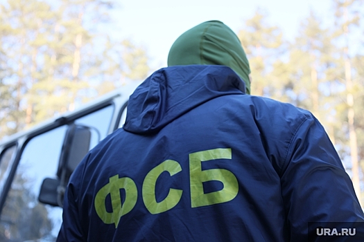 В Челябинской области ФСБ обезвредила экстремиста