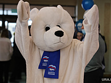 Пермякам обещают заплатить 400 рублей за «репетицию выборов». «Вы бесплатно не пойдете»