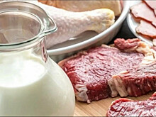 В Нижегородской области увеличено производство молока и мяса