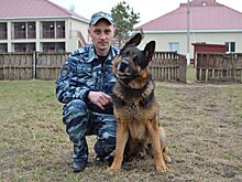 Джульбарс на пенсии, или Собачья жизнь после службы