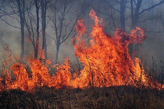 Новосибирцы заплатят 260 тысяч за нарушение противопожарного режима