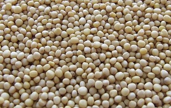 Приморская соя без ГМО ценится на международном рынке