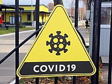 Собянин заявил о росте детской смертности из-за коронавируса