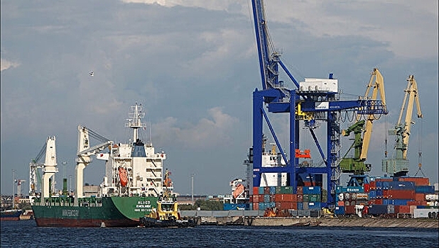 В порту Петербурга задержали 73 тонны сыра из Европы