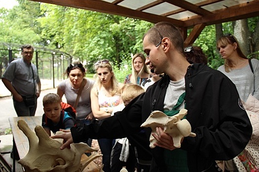 Зоопарк Калининграда предложил посетителям подержать в руках зубы слона и посчитать позвонки жирафа