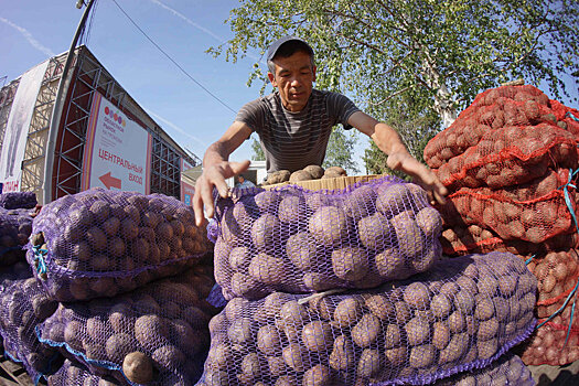 На Урале построят гигантский логистический центр для сельхозпродукции