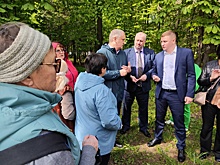В Курске создадут рабочую группу по вырубке деревьев в парке Бородино