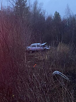 В Бузулукском районе в ДТП погибла пассажирка отечественной легковушки