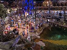 «Зашла за носками, а там крокодилы». Турист рассказал о магазинах в США