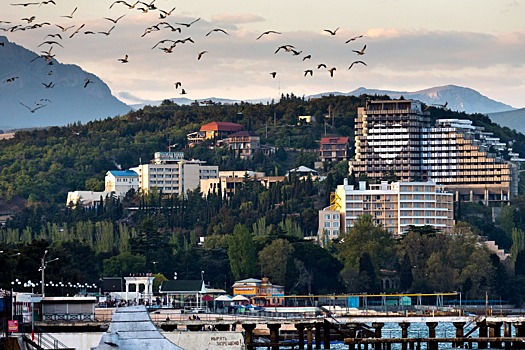 Крым передал Чечне территорию бывшей здравницы в Алуште для строительства детского лагеря