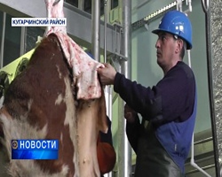 Башкортостан занял 7-е место в России по производству мясных продуктов