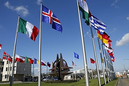 Бывший еврокомиссар осудил Запад за предложение Украине вступить в НАТО