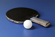 В Конькове 20 сентября организуют открытые соревнования по настольному теннису