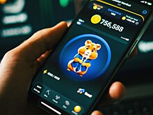 Опубликовано новое комбо карт в Hamster Kombat на 5 и 6 августа