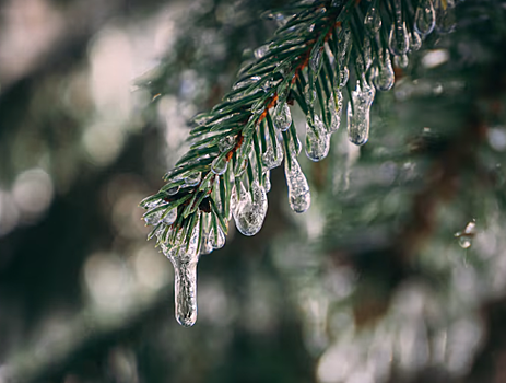 В Новосибирске назван самый холодный декабрь за всю историю метеонаблюдений