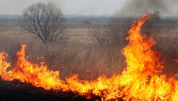 Сжигание травы «под присмотром». Как незнание законов привело к пожарам в Хакасии