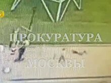 Бастрыкину доложат о ходе расследования наезда самокатчика на ребенка в Южном Бутове