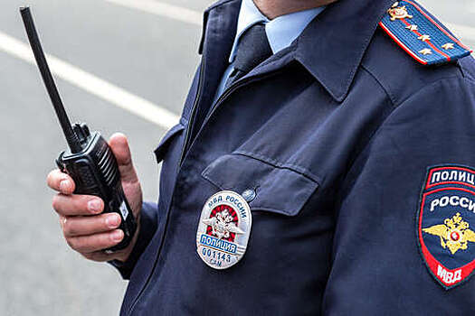 Глава профсоюза полиции Пашкин: полицию нужно снова переименовать в милицию