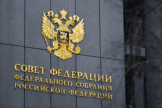 Совет Федерации принял закон об уголовной ответственности для дропперов