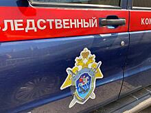 Бастрыкин поручил завести дело по факту нападения собак на велосипедиста в ЯНАО