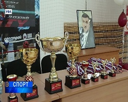 В Уфе прошли соревнования, с которых начинают спортивную карьеру почти все башкирские кикбоксеры