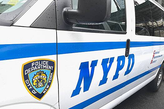 Близнецы отомстили напавшему на них грабителю