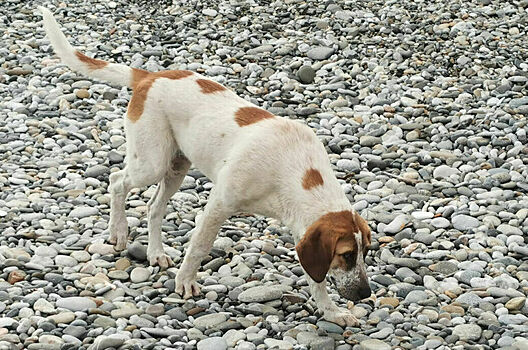 В Госдуме обсудили законопроект со многими неизвестными
