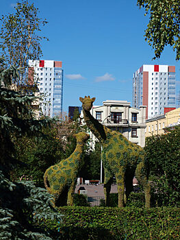 Жирафов из сквера Сурикова в Красноярске убрали навсегда