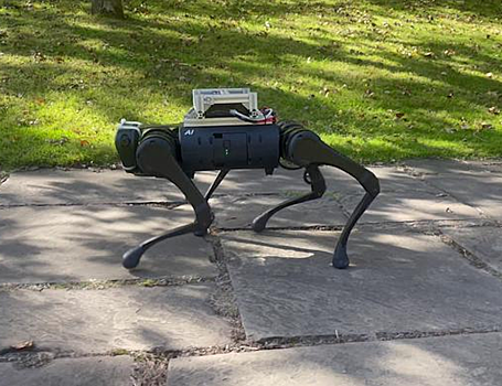 Робот научился самостоятельно выбирать темп для движения на местности