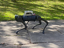 Робот научился самостоятельно выбирать темп для движения на местности