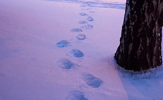 Илья Середюк отреагировал на обращения кузбассовцев о заснеженных дорогах